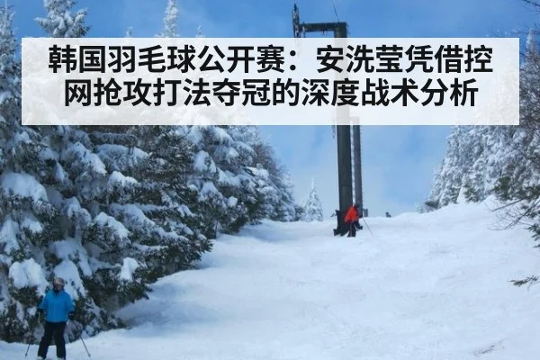韩国羽毛球公开赛：安洗莹凭借控网抢攻打法夺冠的深度战术分析