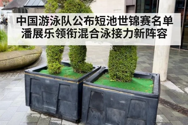 中国游泳队公布短池世锦赛名单 潘展乐领衔混合泳接力新阵容