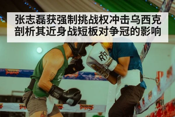 Zhang Zhilei boxing