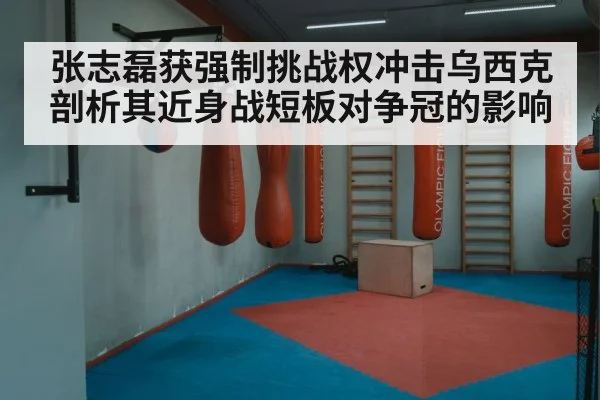 Oleksandr Usyk boxing