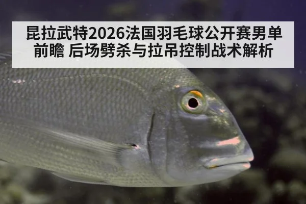 昆拉武特2026法国羽毛球公开赛男单前瞻 后场劈杀与拉吊控制战术解析（jiuyou game）